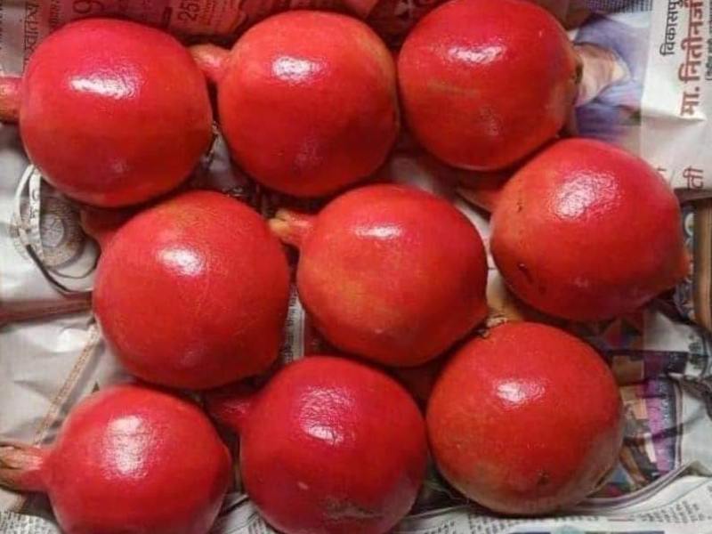 Pomegranate