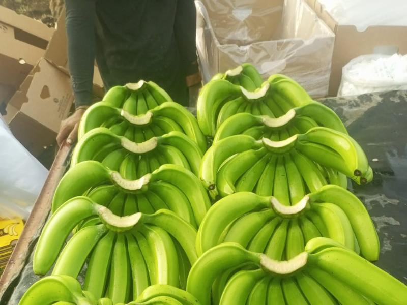 Packaging Of Banana