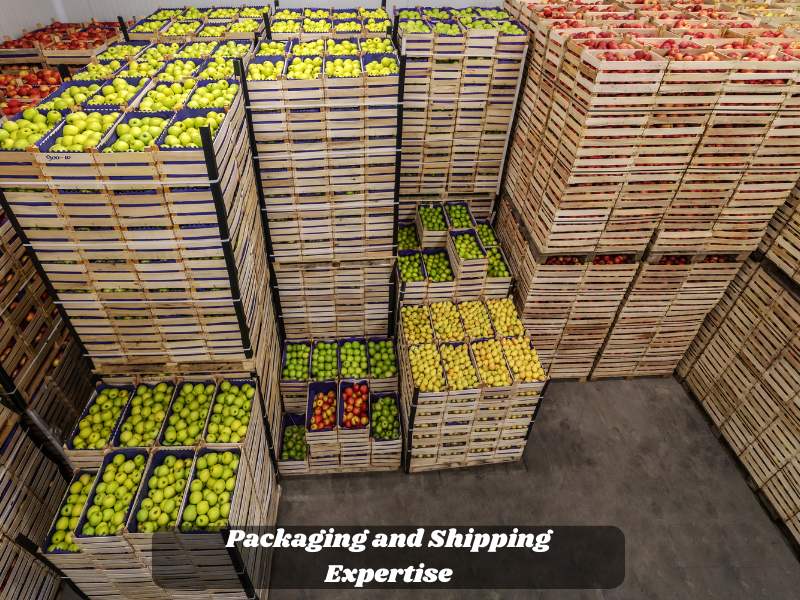 Export Packaging and Shipping Solutions